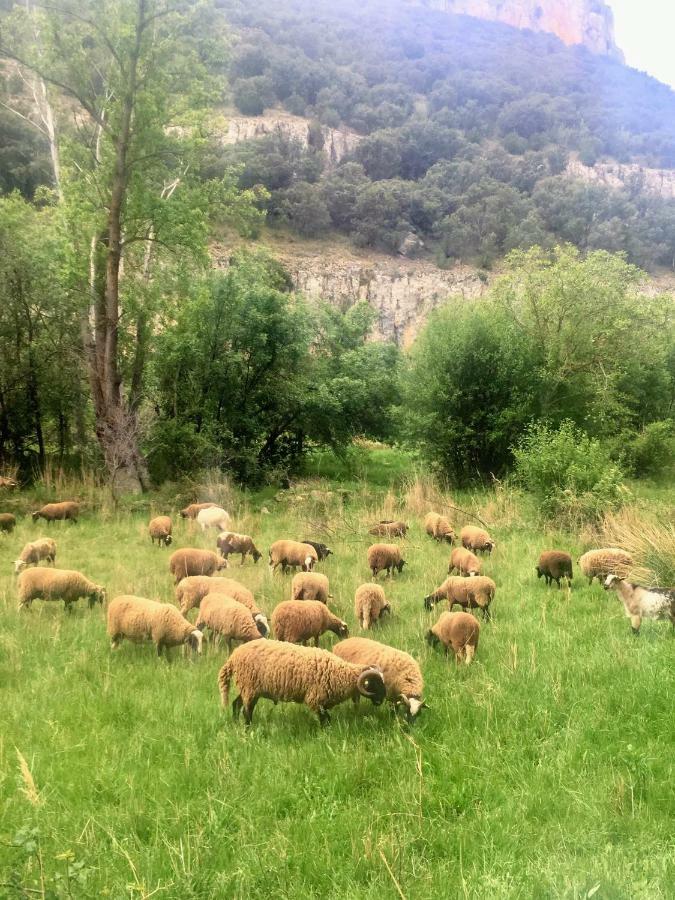 Apartamento Rural La Cascada De Calmarza 外观 照片