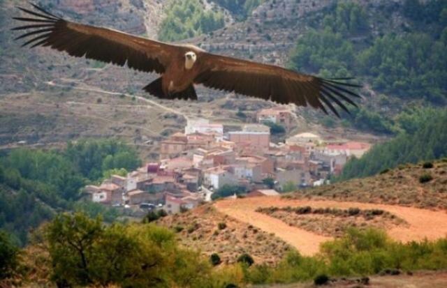 Apartamento Rural La Cascada De Calmarza 外观 照片